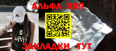 гидра Кингисепп