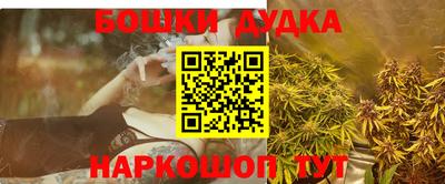 гидра Кингисепп