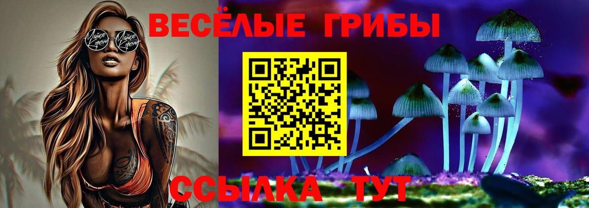 Клин  Галлюциногенные грибы MAGIC MUSHROOMS  Вход с VPN  Галлюциногенные грибы мицелий 
